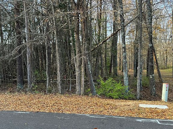 4th image of Creekwood Trl #8