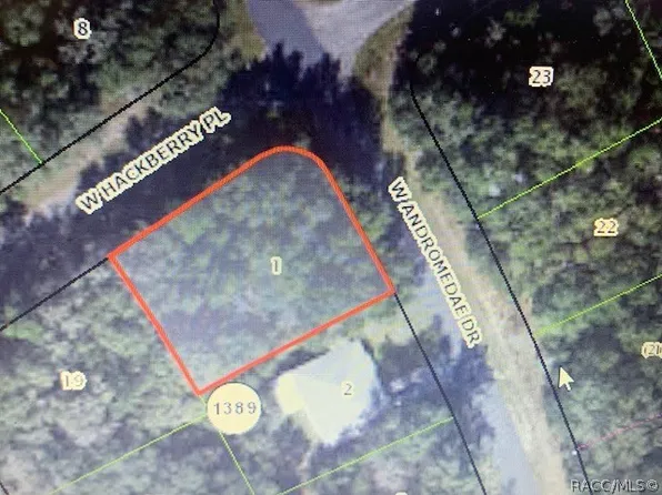1912 W Andromedae Dr, Dunnellon, FL 34433