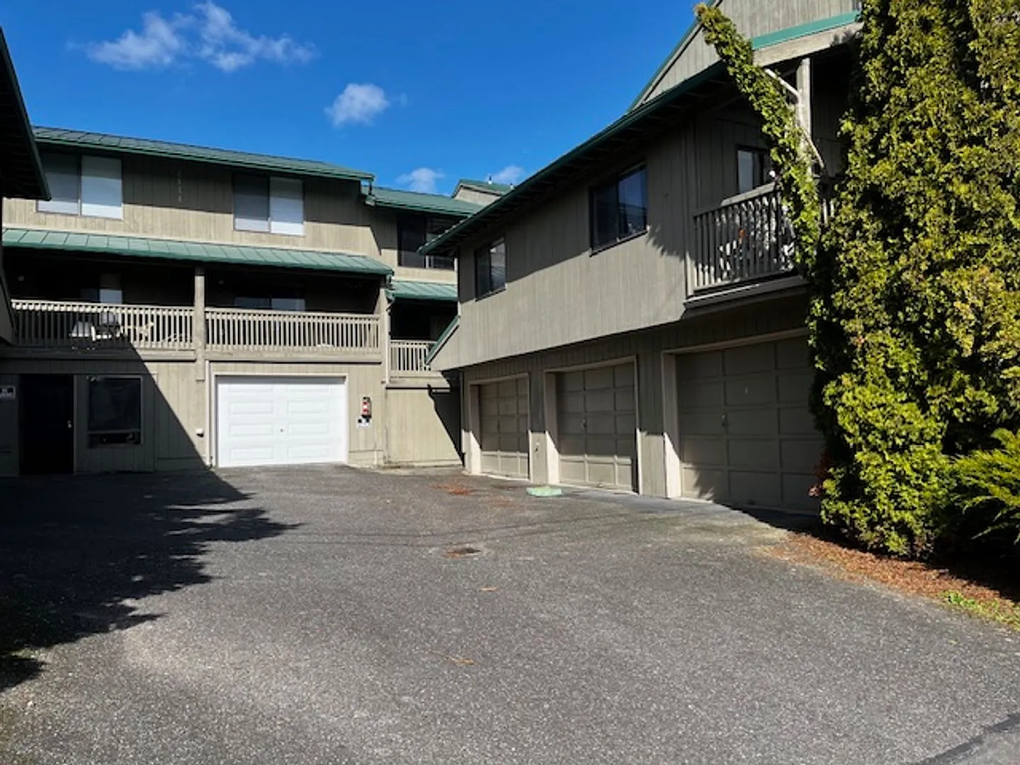 3 Bedroom 1.5 Bath Townhouse Near Wwu - Rent Special $250 Amazon Gift Card With Signed Lease! — Photo 3