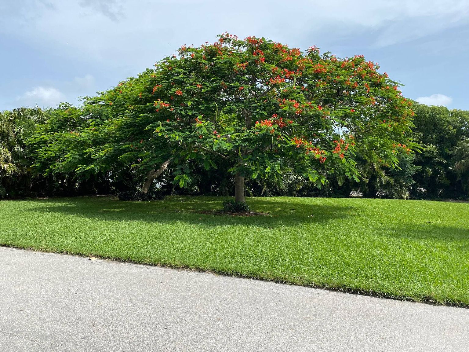 201 Smallwood Dr, Chokoloskee, FL 34138 Zillow