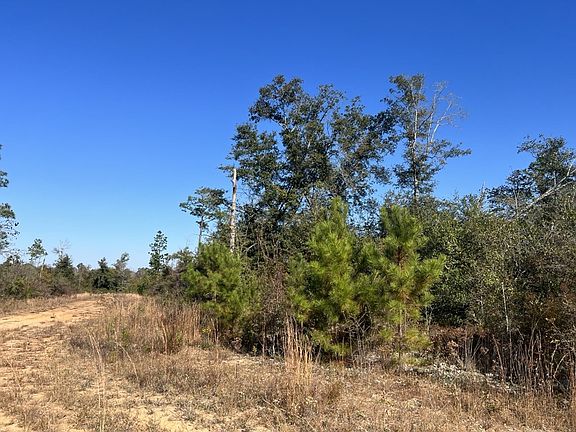 5th image of LOT 57 Spirit Ct