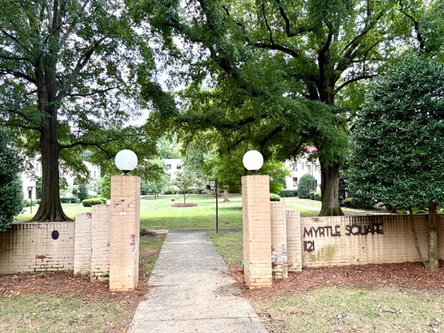 1/2 Month Off Special - Dilworth -Historic Myrtle Sq 1 Bed 1 Bath Condo — Photo 1