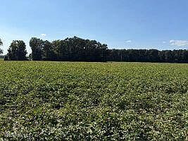 2nd image of 1400 Holly Springs Church Road