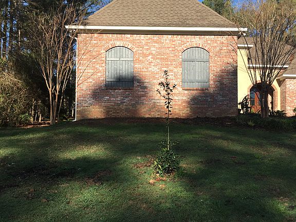 5th image of 135 Wrights Mill Dr