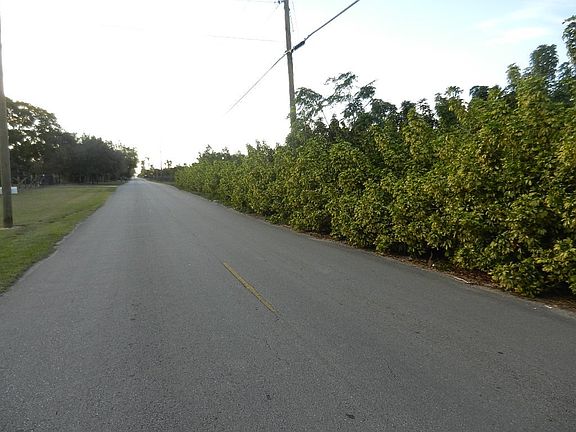 Exterior Neighborhood (street photo)