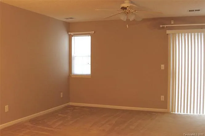 Cougar lane — Photo 4