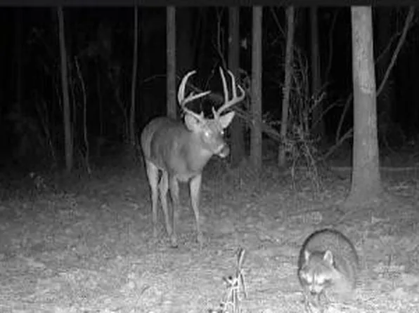 Charlie Rhodus Rd, Magnolia, MS 39652