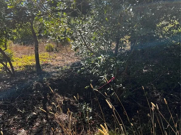 3236 Gleason St, Cambria, CA 93428