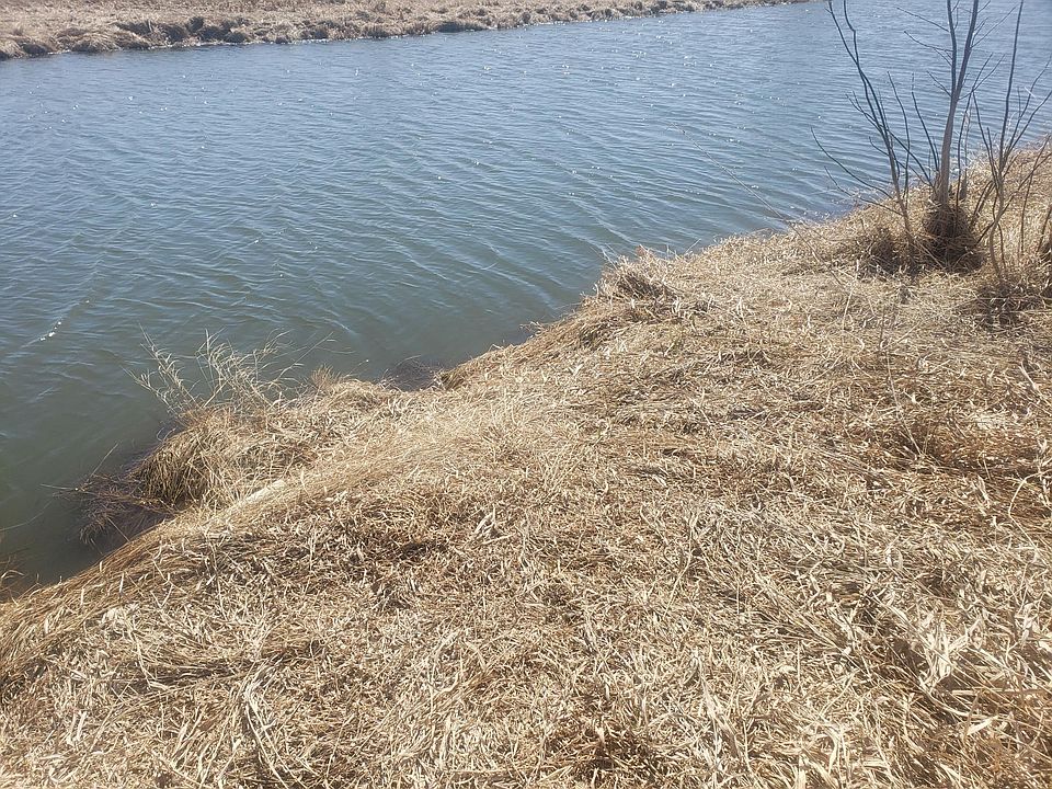 0 432nd Ave, Ottertail, MN 56571 MLS 6363889 Zillow