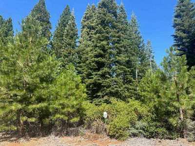 108 Silver Pine Dr, Westwood, CA, 96137