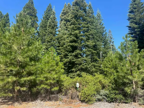 108 Silver Pine Dr, Westwood, CA 96137