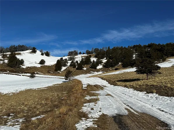 493 Schierl Road LOT 493, Fort Garland, CO 81133