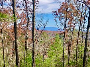 1769 Hap Holt Rd, Ellijay, GA 30540