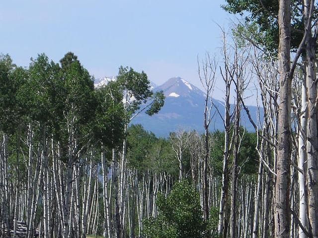 1st image of Tbd Brown Ranch Rd