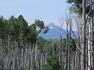 Tbd Brown Ranch Rd, Placerville, CO 81430