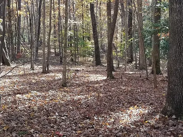 Hazelnut Dr, Clarksville, VA 23927