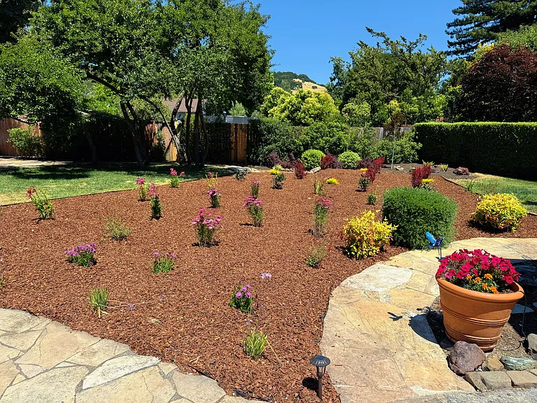 Hill view from backyard