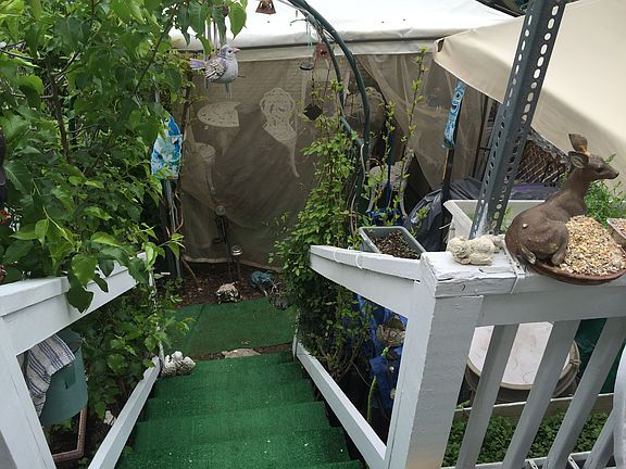 SCENIC YARD