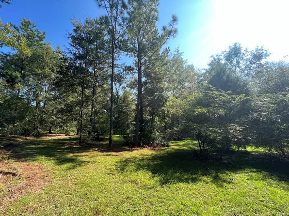 120 Davis Cherry Rd, Pansey, AL 36370