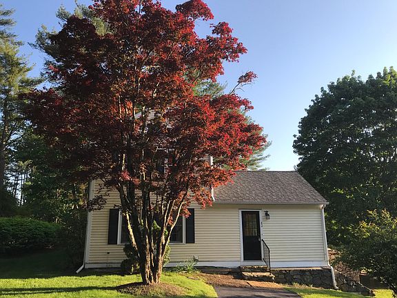 Driveway side and entrance to kitchen