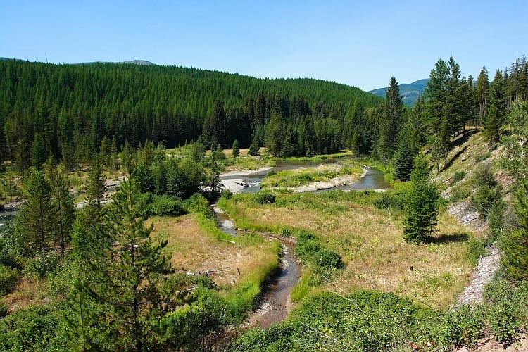 530 Trail Creek Rd, Polebridge, MT 59928 Zillow