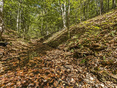 Property photo 49