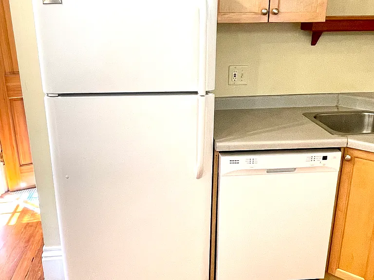 Fridge and Dishwasher , New