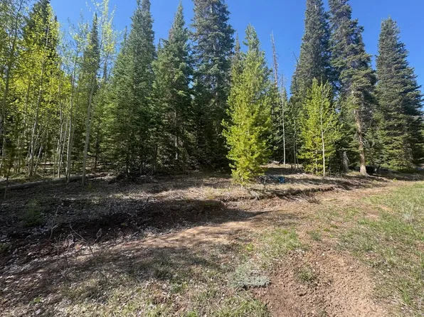 44 Wilderness Rd, Walden, CO 80480