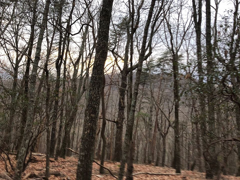 2nd image of 642 Fairview Ct