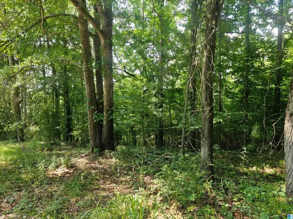 275 Miller St, Odenville, AL 35120