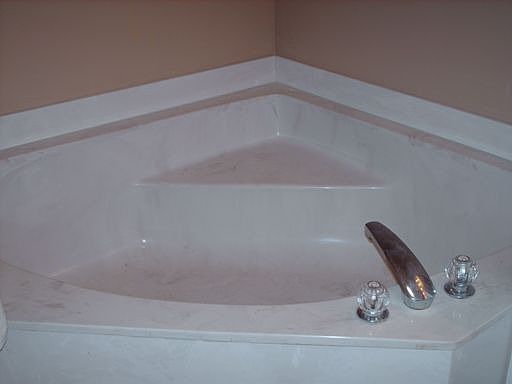Master Bath w/ roman tub and shower stall