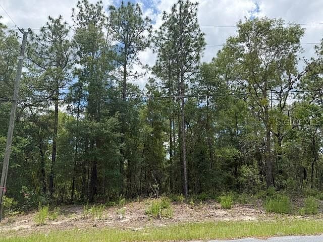 2nd image of 1982 W ROSEBORO DRIVE LOT 8