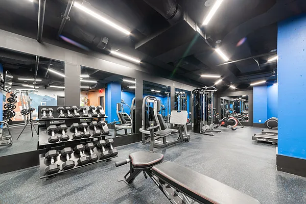 Rented by Joel Scharf, LREB | media 39