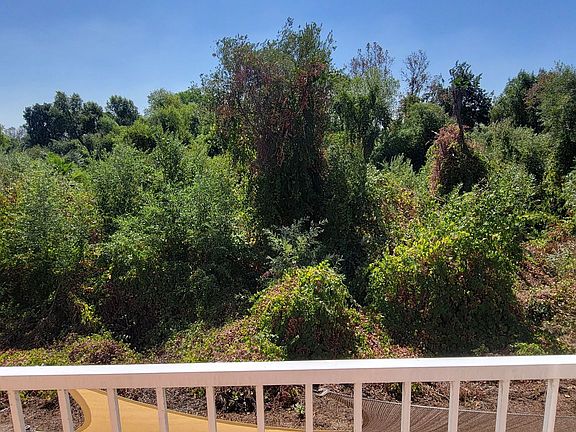 5th image of 9011 Calle Del Verde