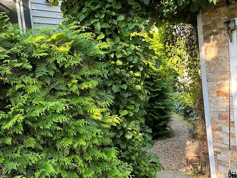 10 Cove Ave — Photo 55
