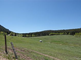 26726 Light Ln, Conifer, CO 80433