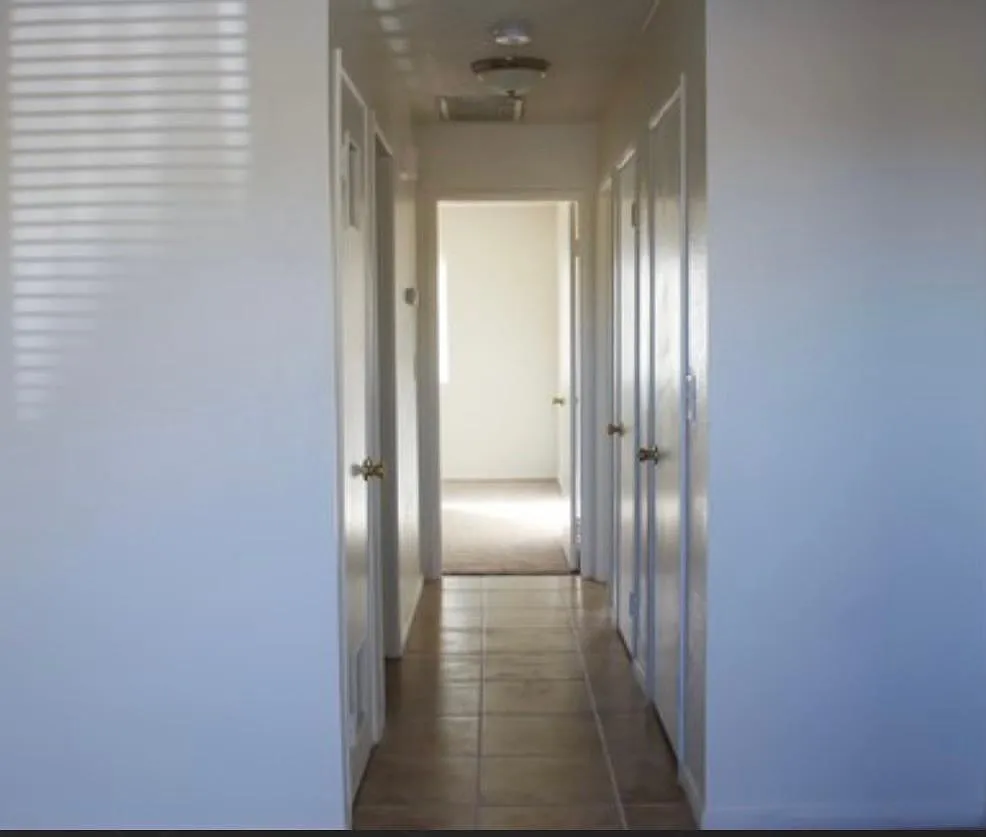 2 bed, 800 sqft, $1,395 — Photo 3