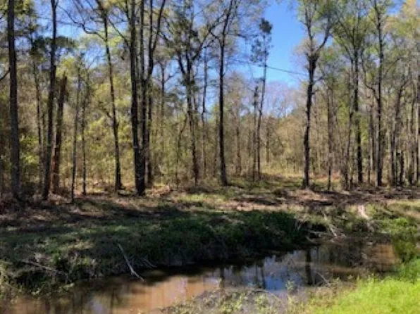 620 Highway 62 N, Orange, TX 77632