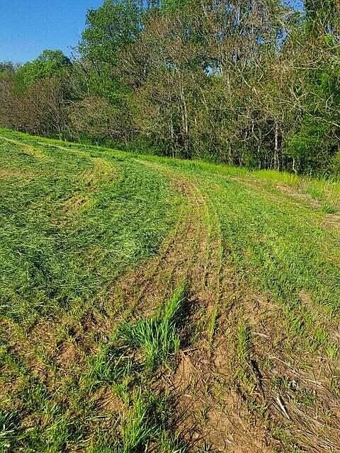 2nd image of 1 Calico Rock Rd