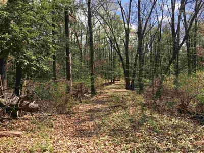 Grouse Run, Red hook, NY, 12571