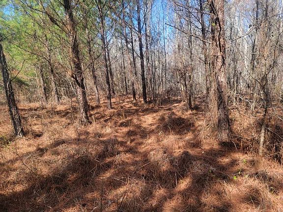 5th image of 2 Saint Galilee Rd