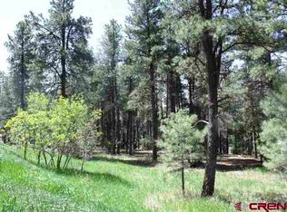 157 Snowbird Ct, Bayfield, CO 81122