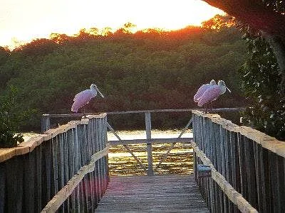 Robinson Preserve for a morning walk