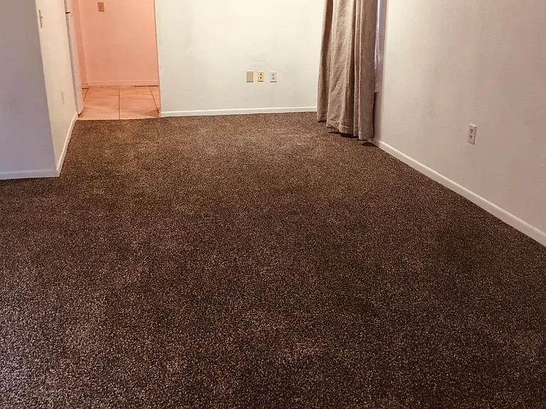 915 Shirley Ann Trl #915 — Photo 14