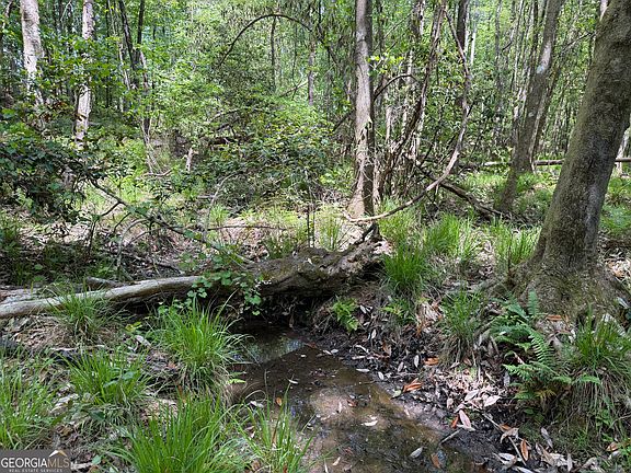 4th image of 67 George Milling Rd