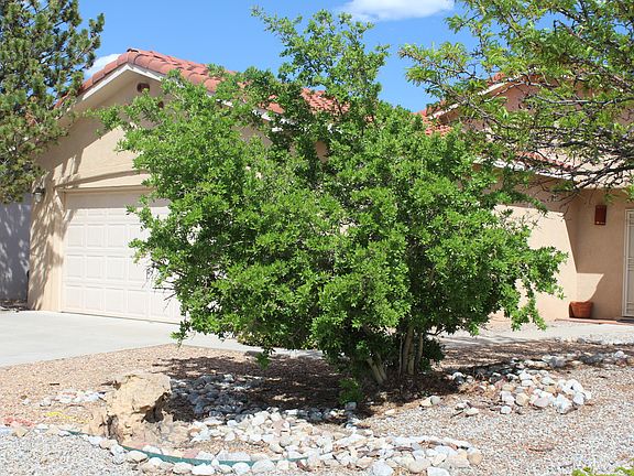 2nd image of 7600 Calle Comodo NE