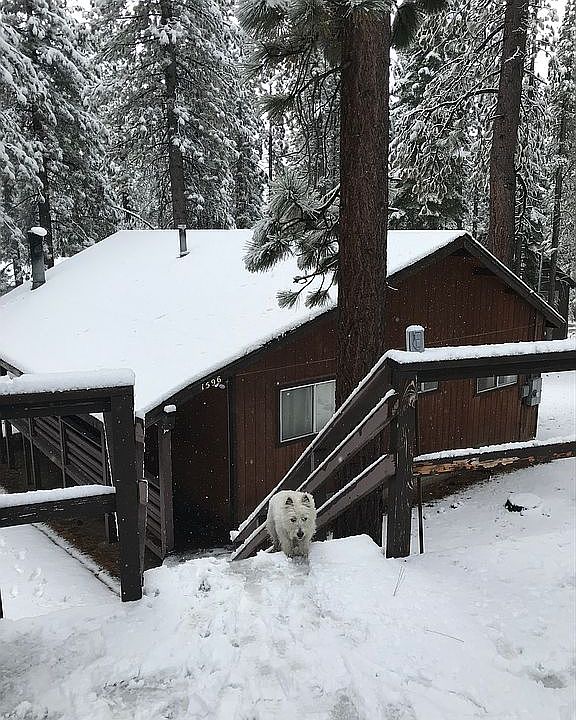 2nd image of 1596 Oflyng Dr