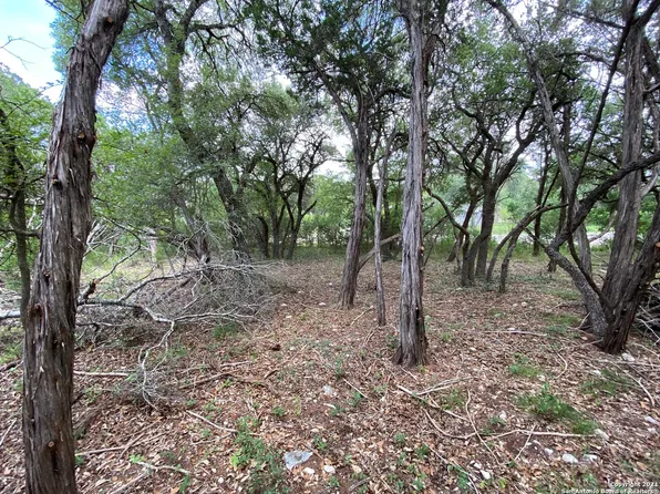 LOT 332 PR 1742 LOT 332, Mico, TX 78056