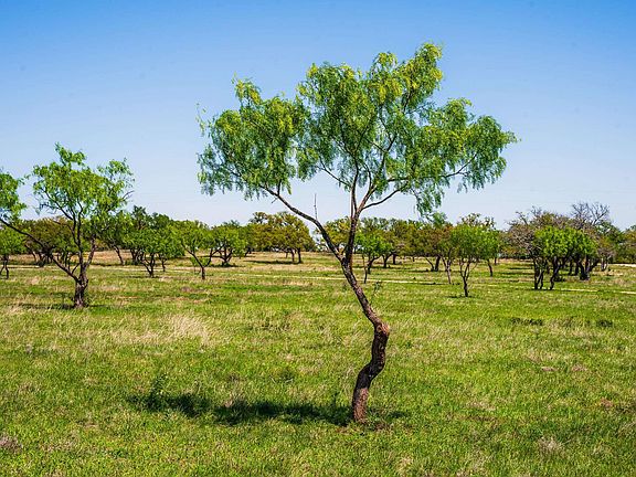 5th image of 0 Springwood Ranch