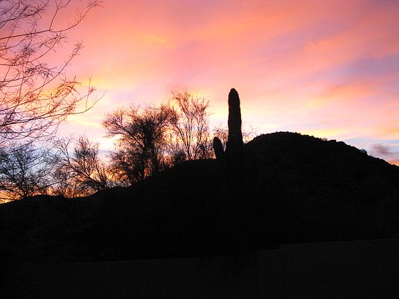 Sunset view from backyard